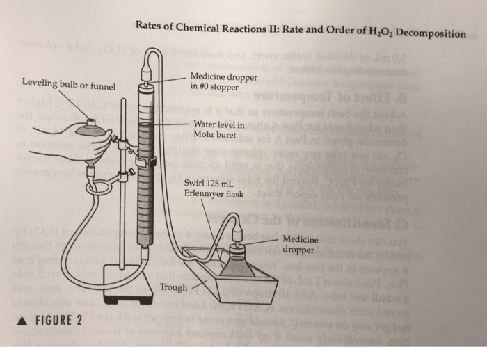 Indicate the direction of O2 production, based on the | Chegg.com