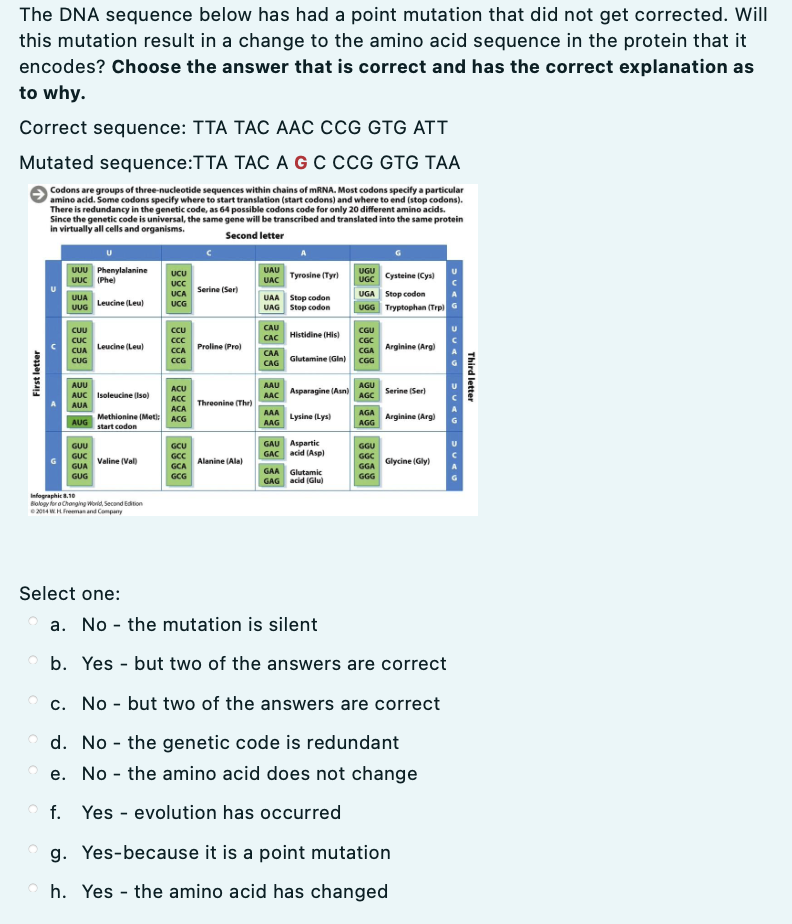 Solved The DNA sequence below has had a point mutation that | Chegg.com