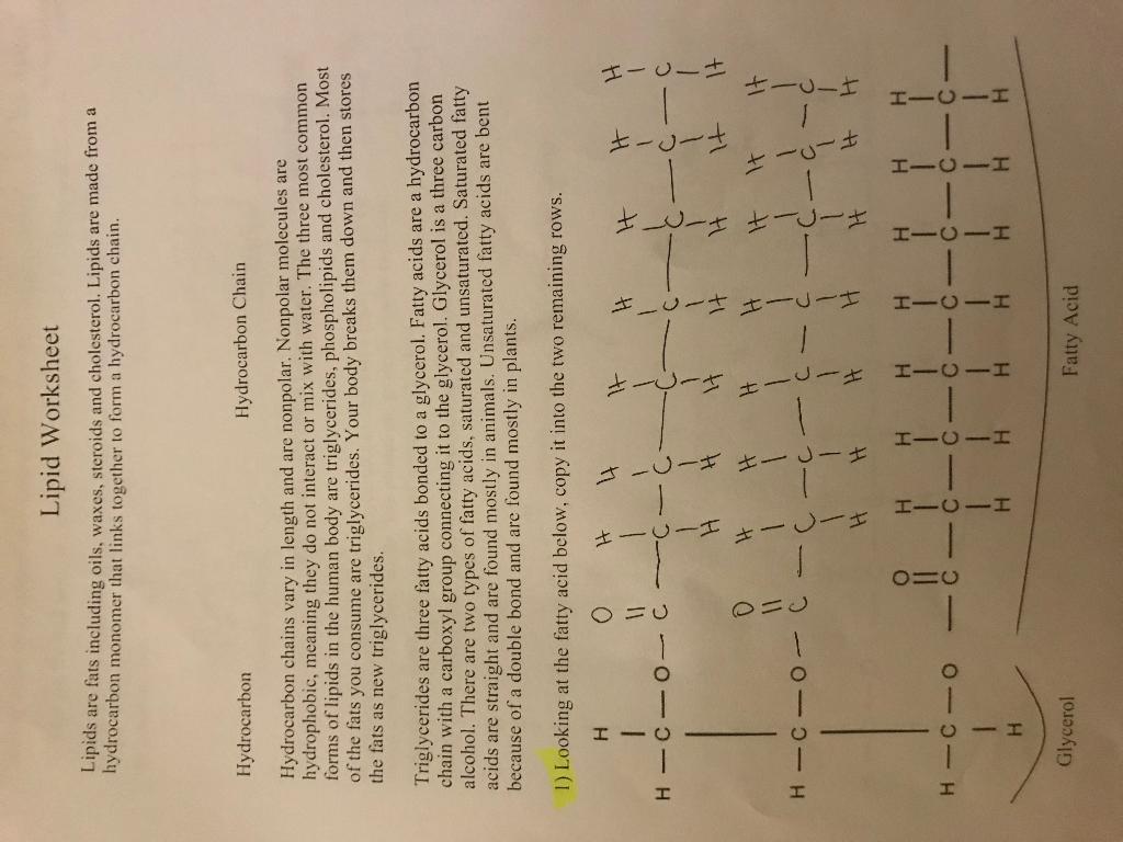 Solved Lipid Worksheet Lipids are fats including oils,  Chegg.com Intended For Lipids Worksheet Answer Key