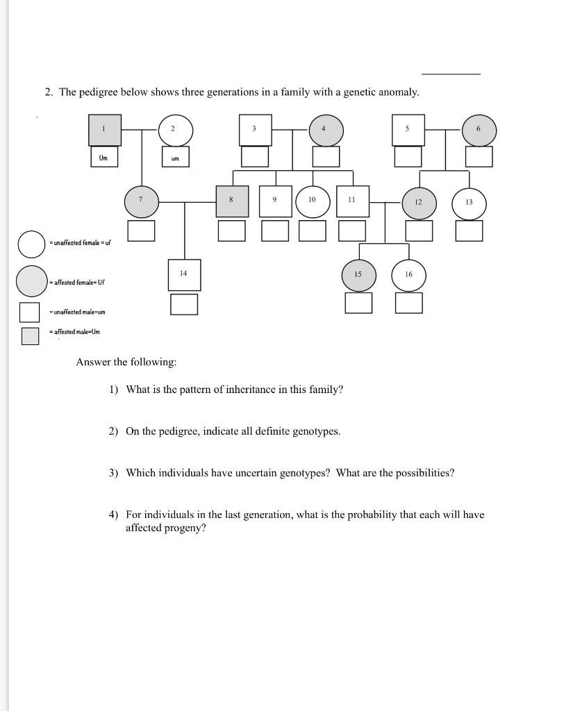 Solved 2. The pedigree below shows three generations in a | Chegg.com