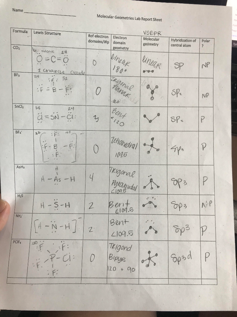 Solved I know none of this is correct, however I'm not sure | Chegg.com