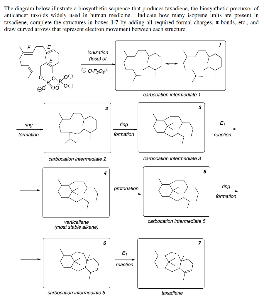 Solved The diagram below illustrate a biosynthetic sequence | Chegg.com