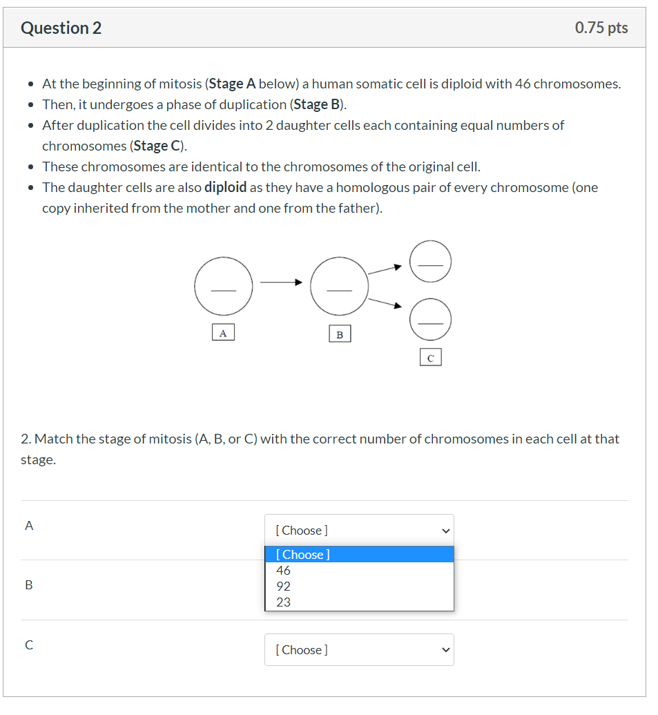 Solved Section C: DNA Replication • You are inside the | Chegg.com