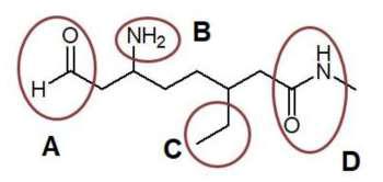 Solved 4. Draw the Lewis structures and describe the | Chegg.com