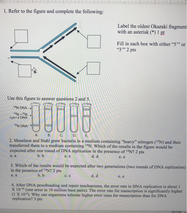 An Okazaki Fragment Has Which Of The Following Arrangements
