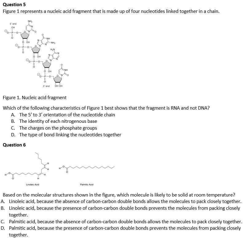 Solved Question 5 Figure 1 represents a nucleic acid
