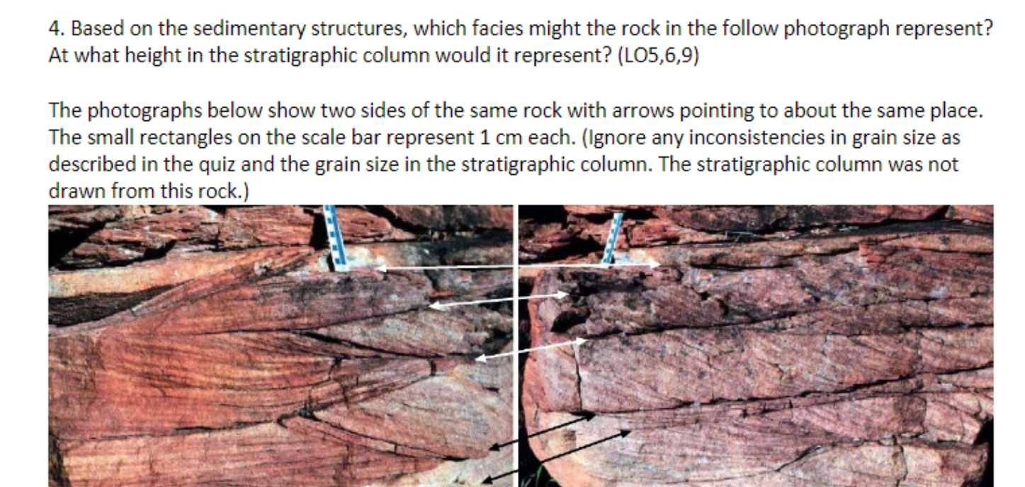 4. Based on the sedimentary structures, which facies | Chegg.com