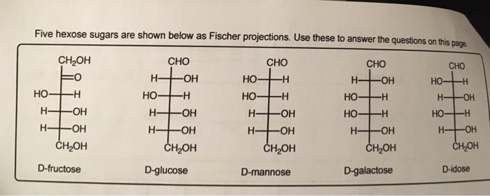 Solved Which Sugar Would Show No Optical Activity If Reduced 