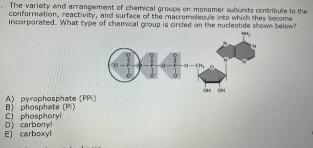 Solved The variety and arrangement of chemical groups on | Chegg.com