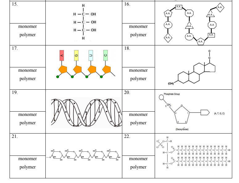 molecules-teaching-biology-teaching-science-biology-lessons