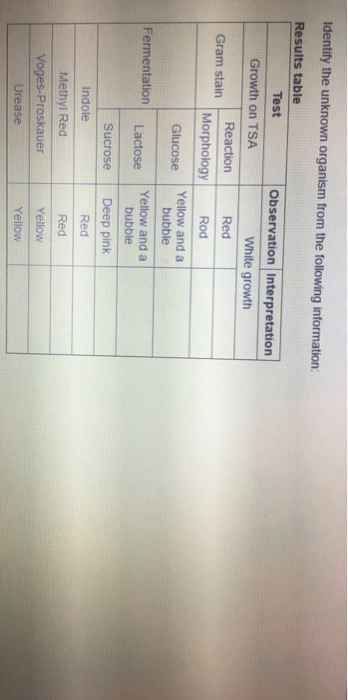 Solved Identify the unknown organism from the following | Chegg.com