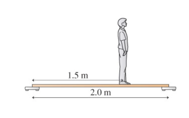 Solved A 62 kg student stands on a very light, rigid board | Chegg.com