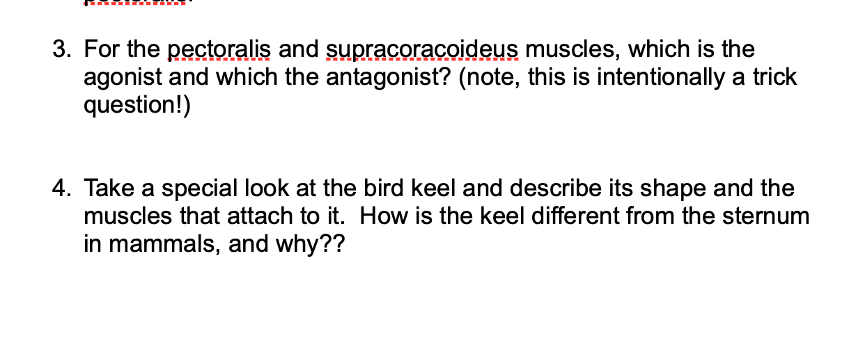 Solved 3 For The Pectoralis And Supracoracoideus Muscles