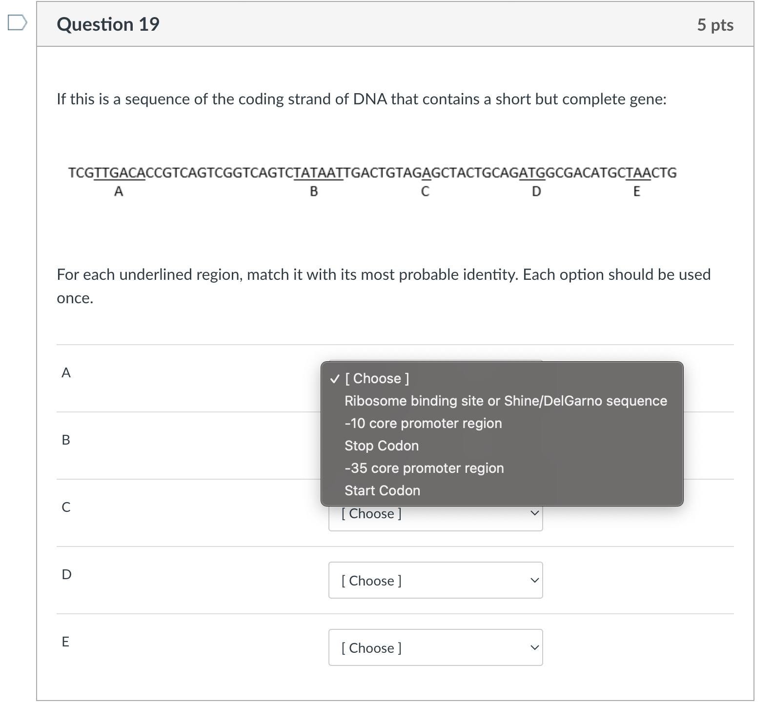 Solved If this is a sequence of the coding strand of DNA | Chegg.com