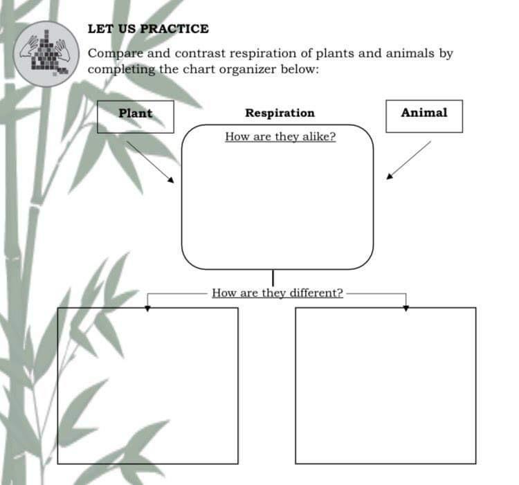 Solved Compare and contrast respiration of plants and 