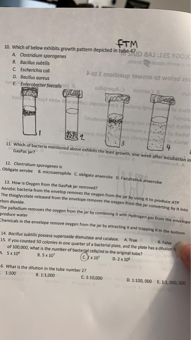 Solved FTM 10. Which of below exhibits growth pattern | Chegg.com