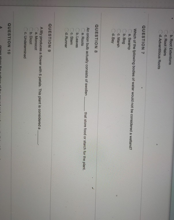 Solved B Root Extentions C Root Hairs D Adventitious R