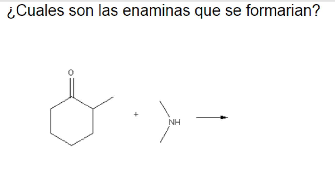 ¿Cuales son las enaminas que se formarian? & + NH