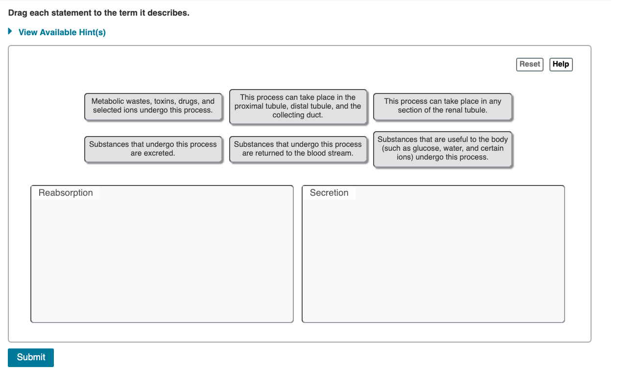 Solved Drag each statement to the term it describes. View