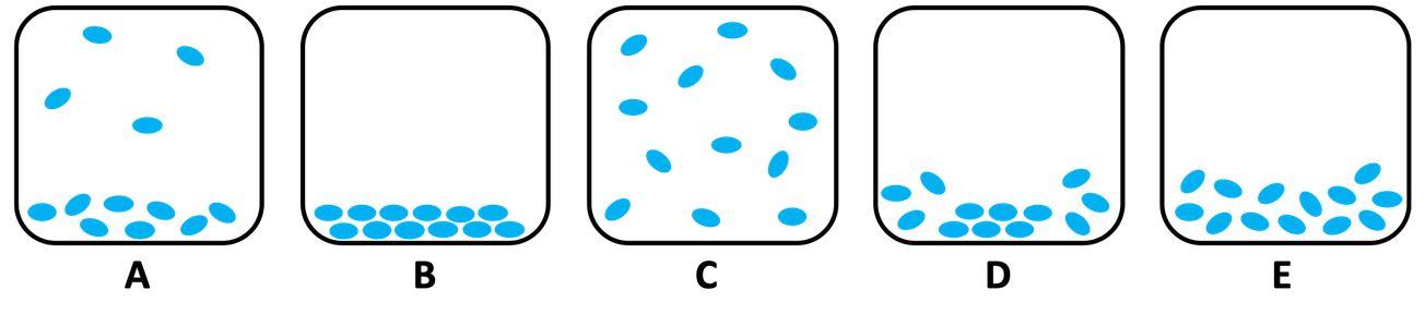 Solved Molecular level-pictures A-E (below) represent 5 | Chegg.com