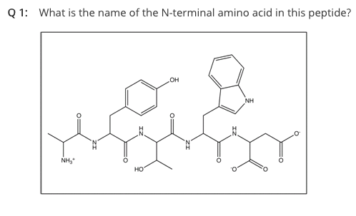 Solved What is the name of the N-terminal amino acid of this | Chegg.com