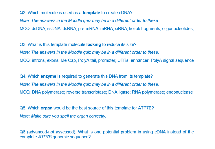 Solved Q2 Which Molecule Is Used As A Template To Create Chegg Com