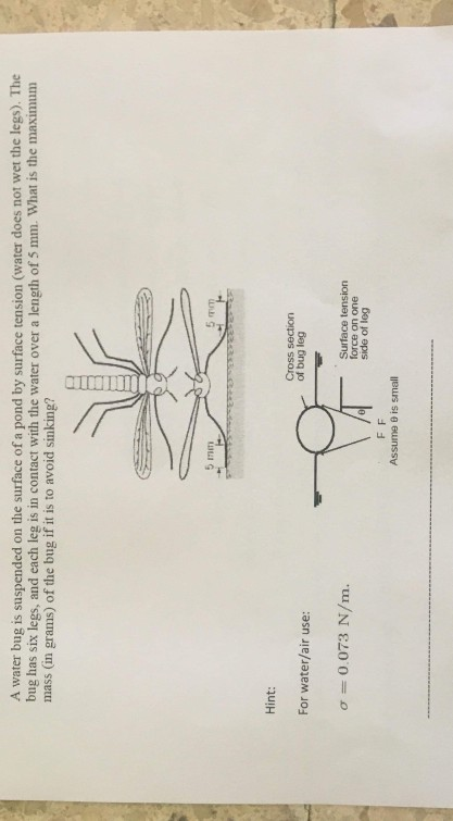 solved-a-water-bug-is-suspended-on-the-surface-of-a-pond-by-chegg