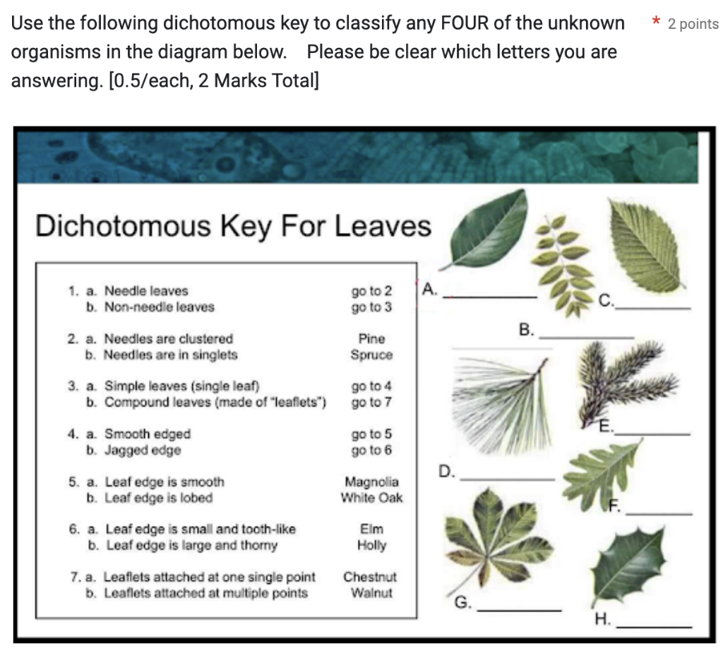 Solved Use the following dichotomous key to classify any | Chegg.com