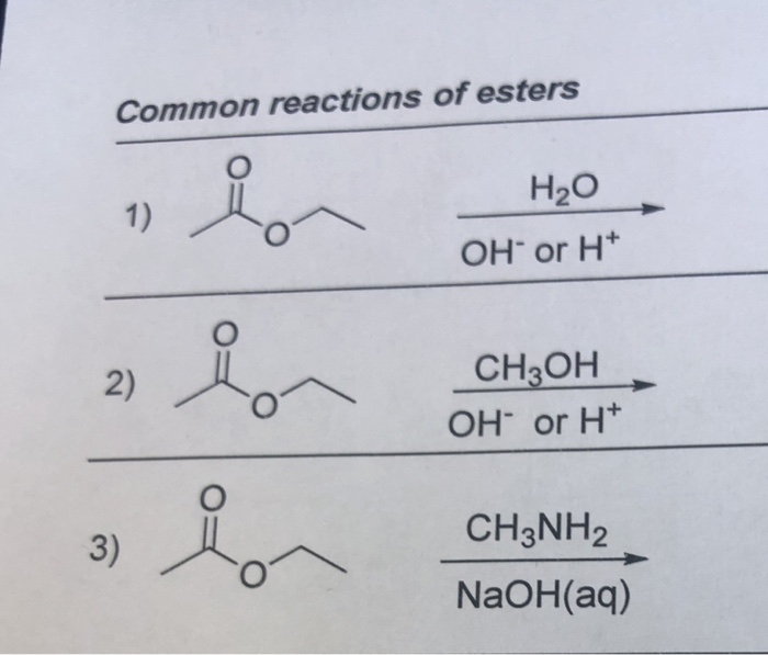 Solved Predict the organic product for each of the following | Chegg.com