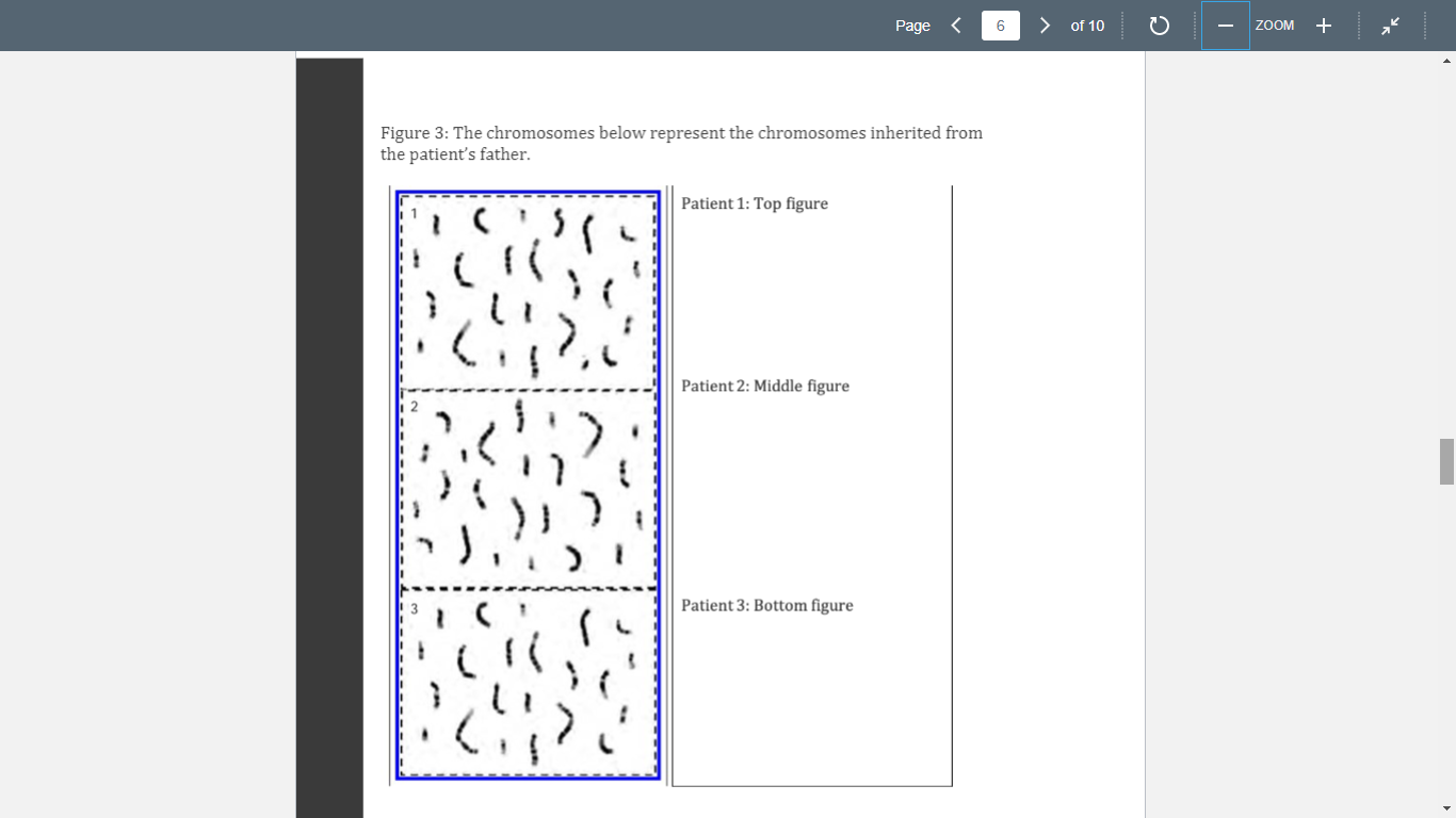 Page 6 > of 10 ZOOM + Figure 3: The chromosomes below | Chegg.com