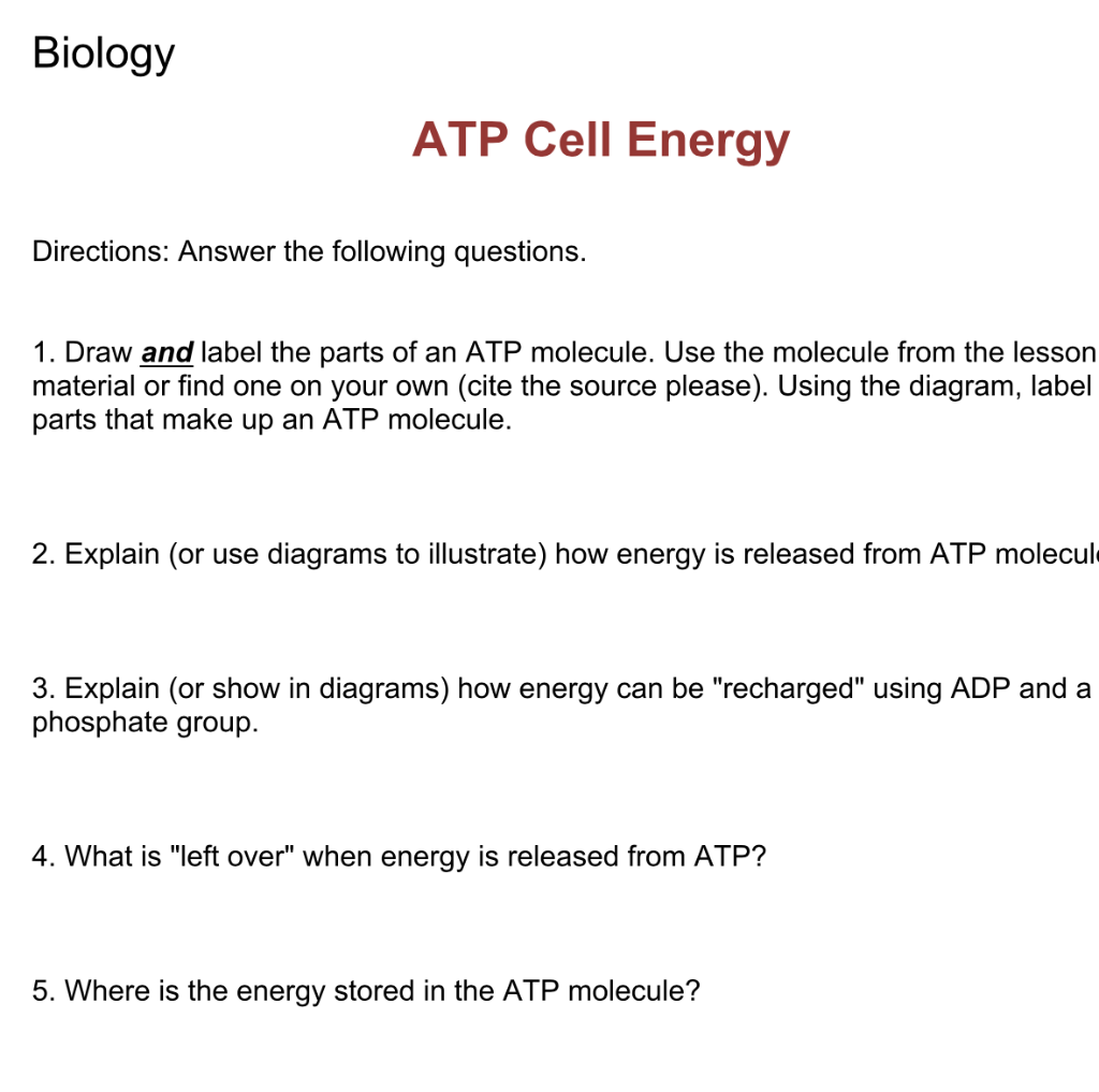 Solved Biology ATP Cell Energy Directions: Answer The | Chegg.com