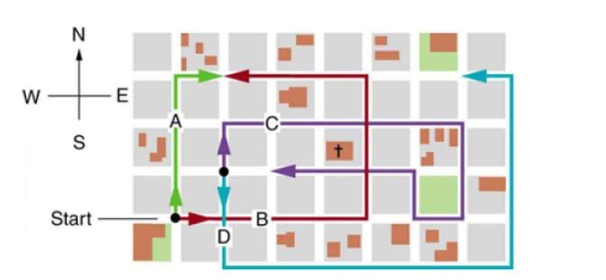Solved The above figure is the map of a city. The colored | Chegg.com