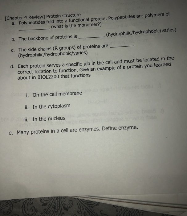 Solved [Chapter 4 Review] Protein structure a. Polypeptides | Chegg.com