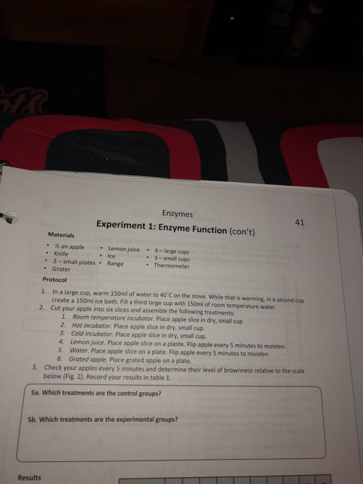 enzyme function experiment