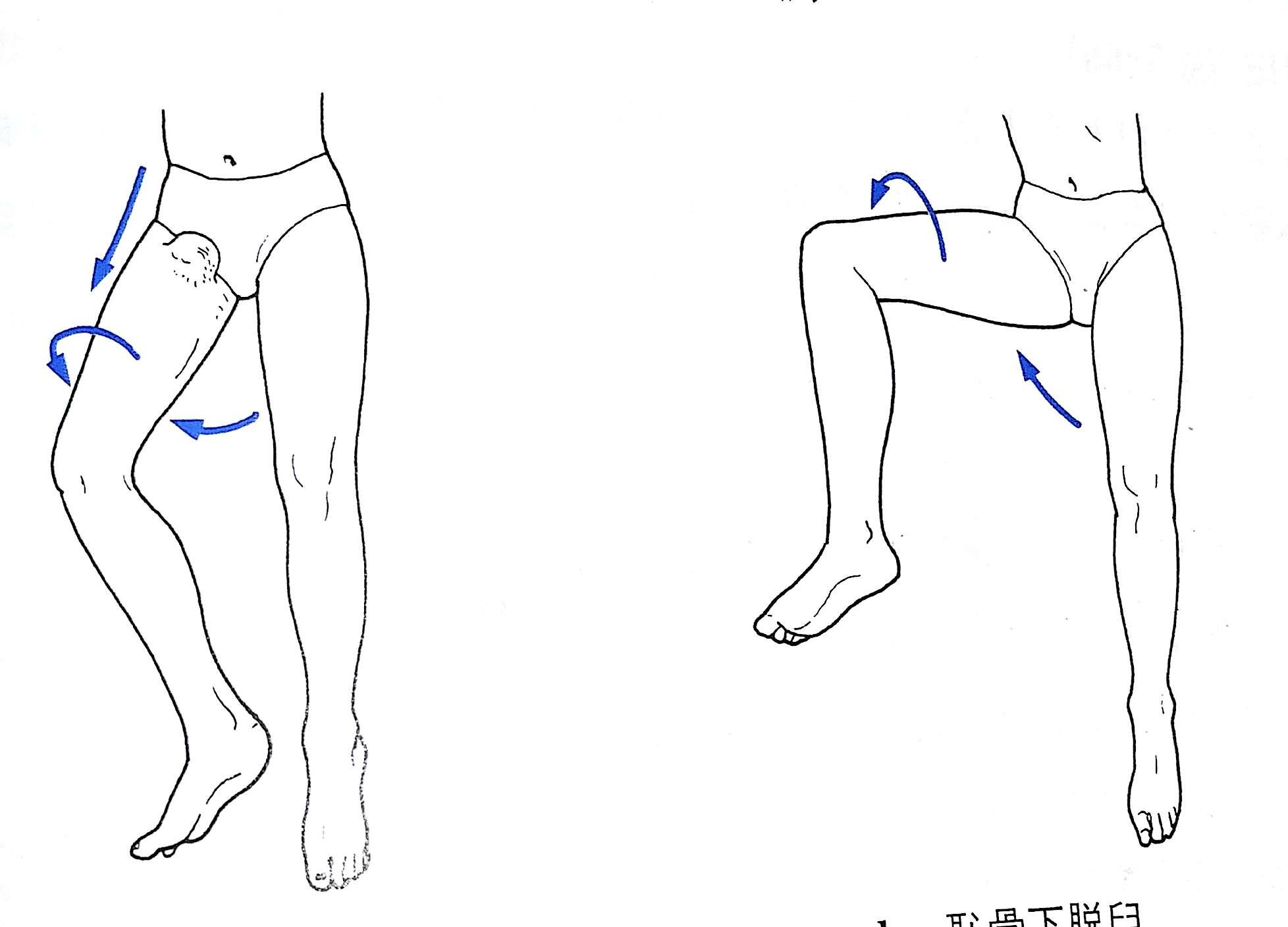 柔整各論 下肢の脱臼 Flashcards Chegg Com