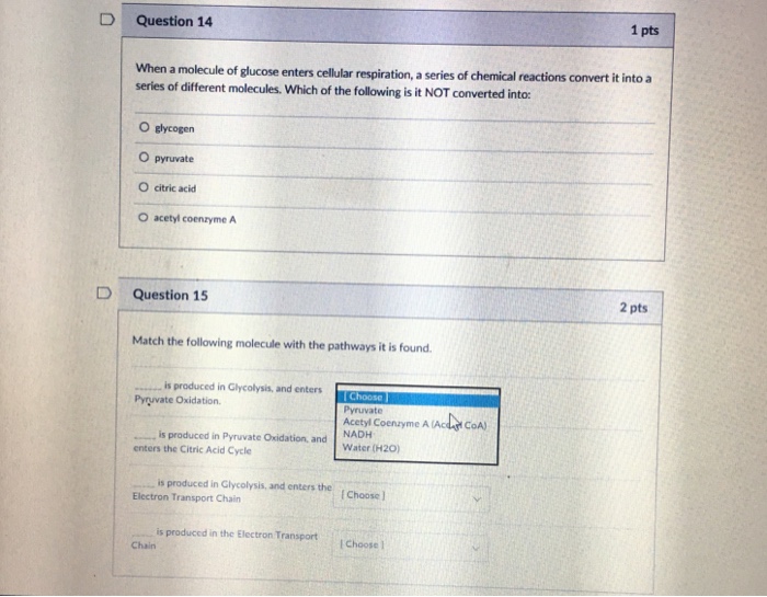 Solved D Question 12 1 pts Cellular respiration includes the | Chegg.com