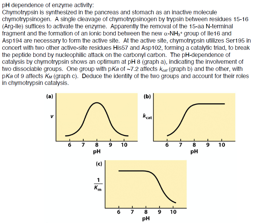 Solved Ph Dependence Of Enzyme Activity Chymotrypsin Is Chegg Com