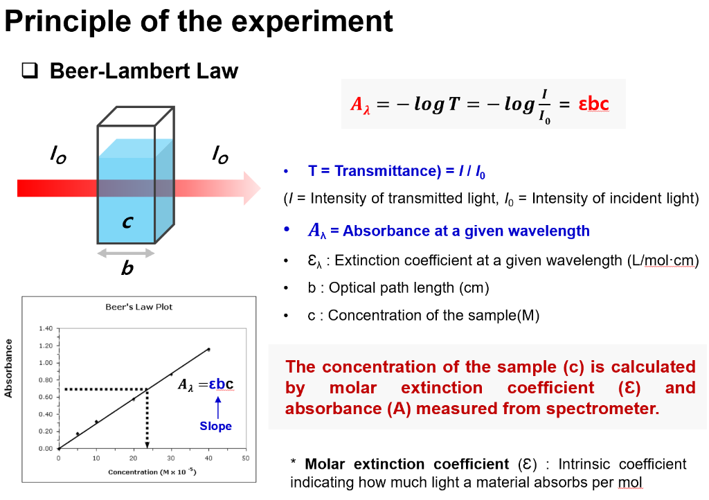 Determination of the Equilibrium