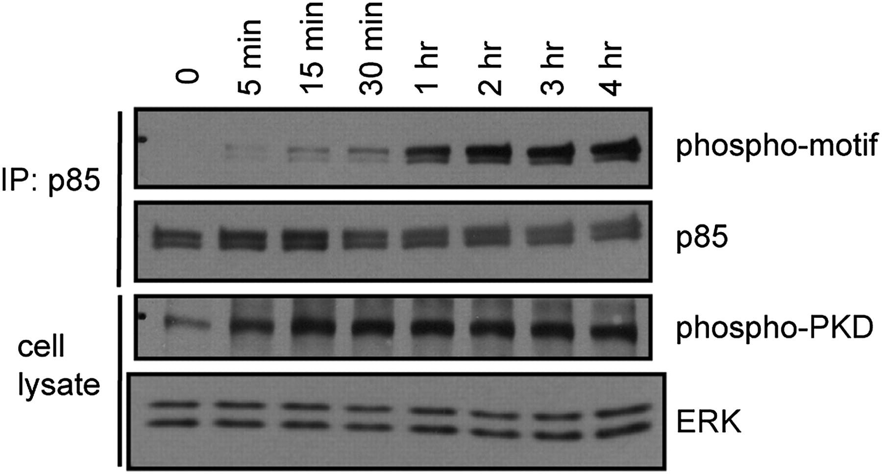 Solved explain and summarize the data what contribution it | Chegg.com