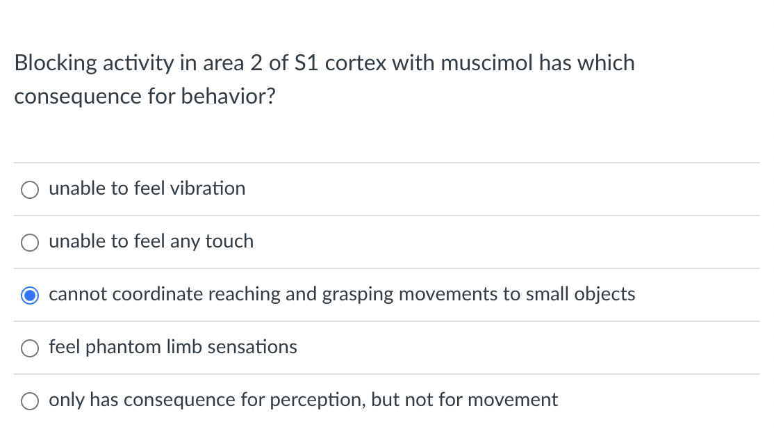 Solved Blocking activity in area 2 of S1 cortex with | Chegg.com