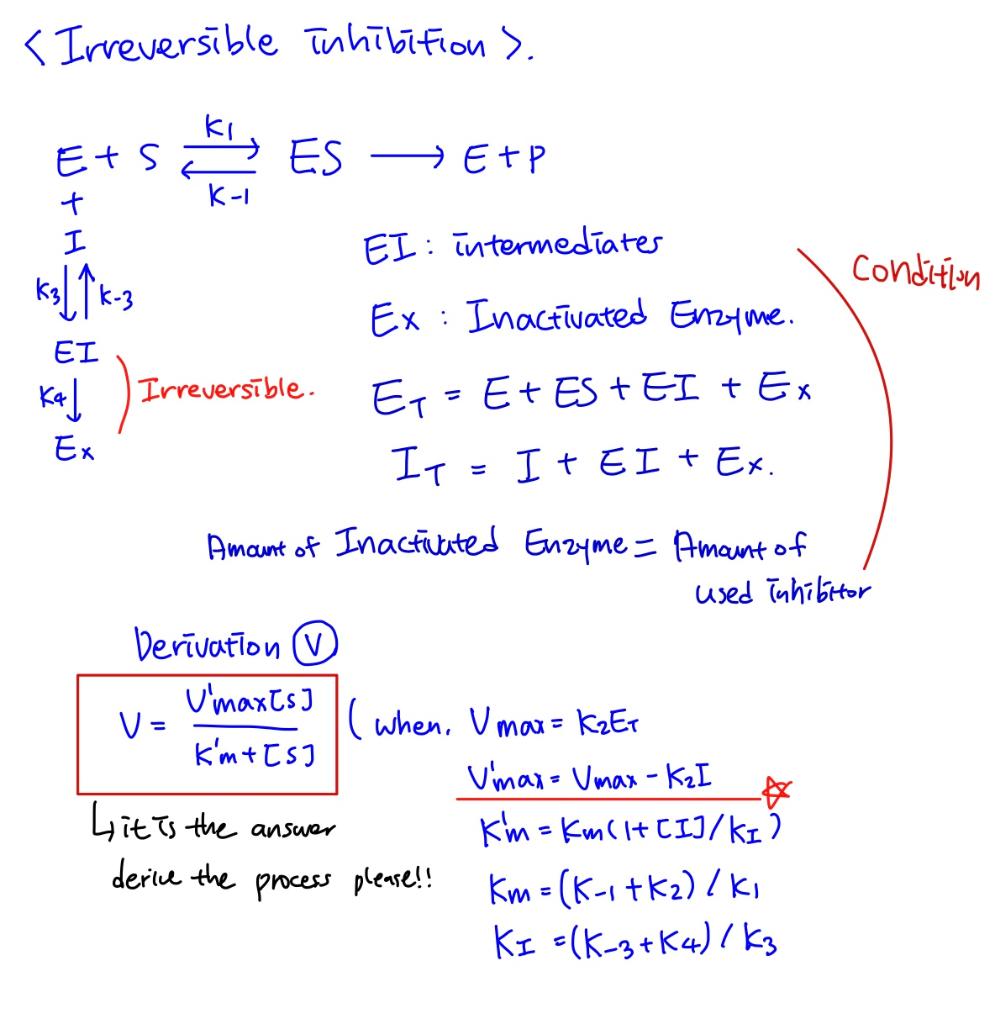 Solved Derivation of Enzyme for Irreversible