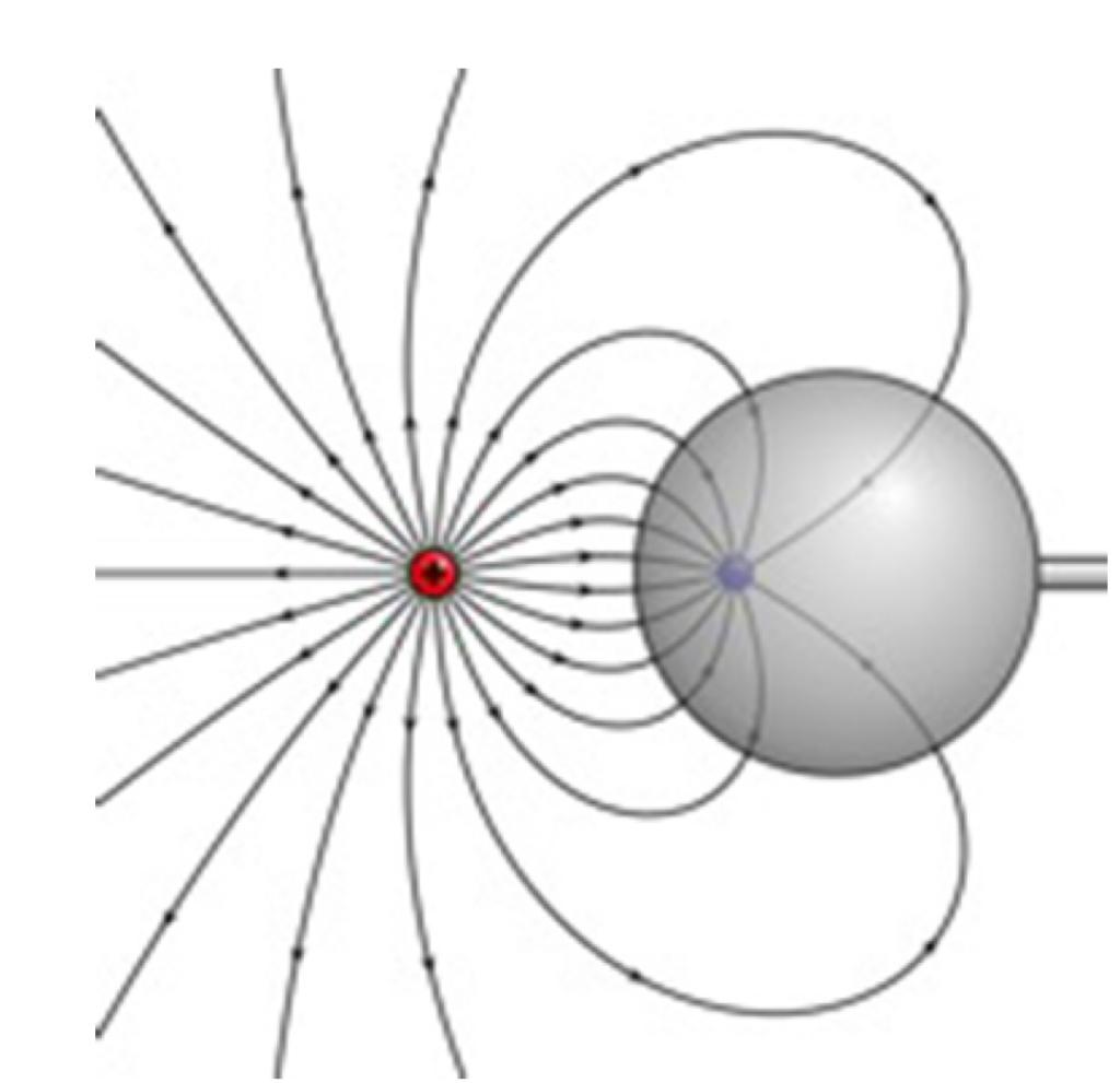 Solved The diagram below shows electric field lines near two | Chegg.com