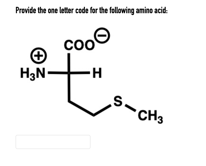 Solved Provide the one letter code for the following amino