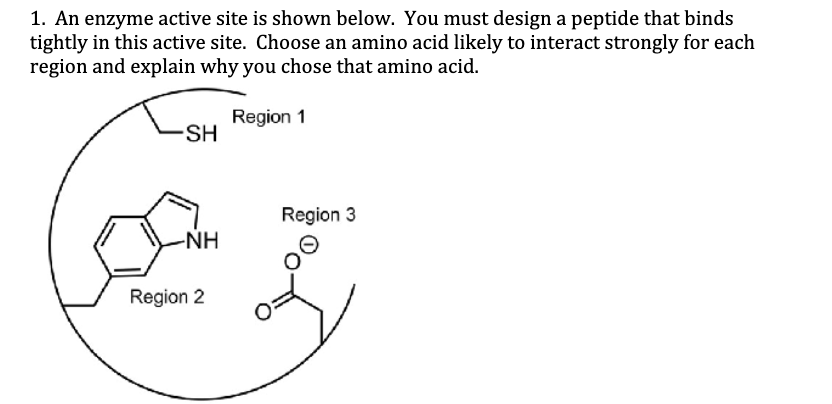 Solved 1. An enzyme active site is shown below. You must | Chegg.com