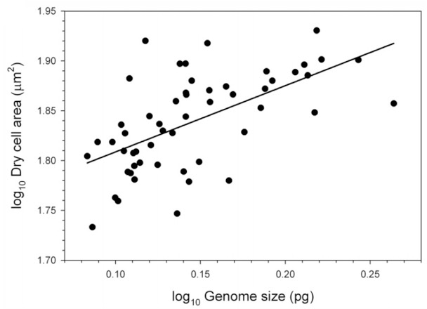 Cell Area Graph Solved Figure 1 The relationship between cell area (on the | Chegg.com