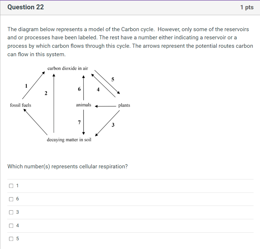 Solved The diagram below represents a model of the Carbon | Chegg.com