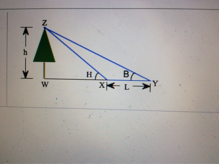 Solved Pat needs to determine the height of a tree before