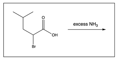 Solved O excess NH3 ОН Br NH3 NH compound A compound B | Chegg.com