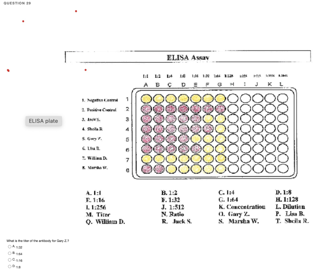 solved-question-28-what-do-the-numbers-above-the-wells-chegg