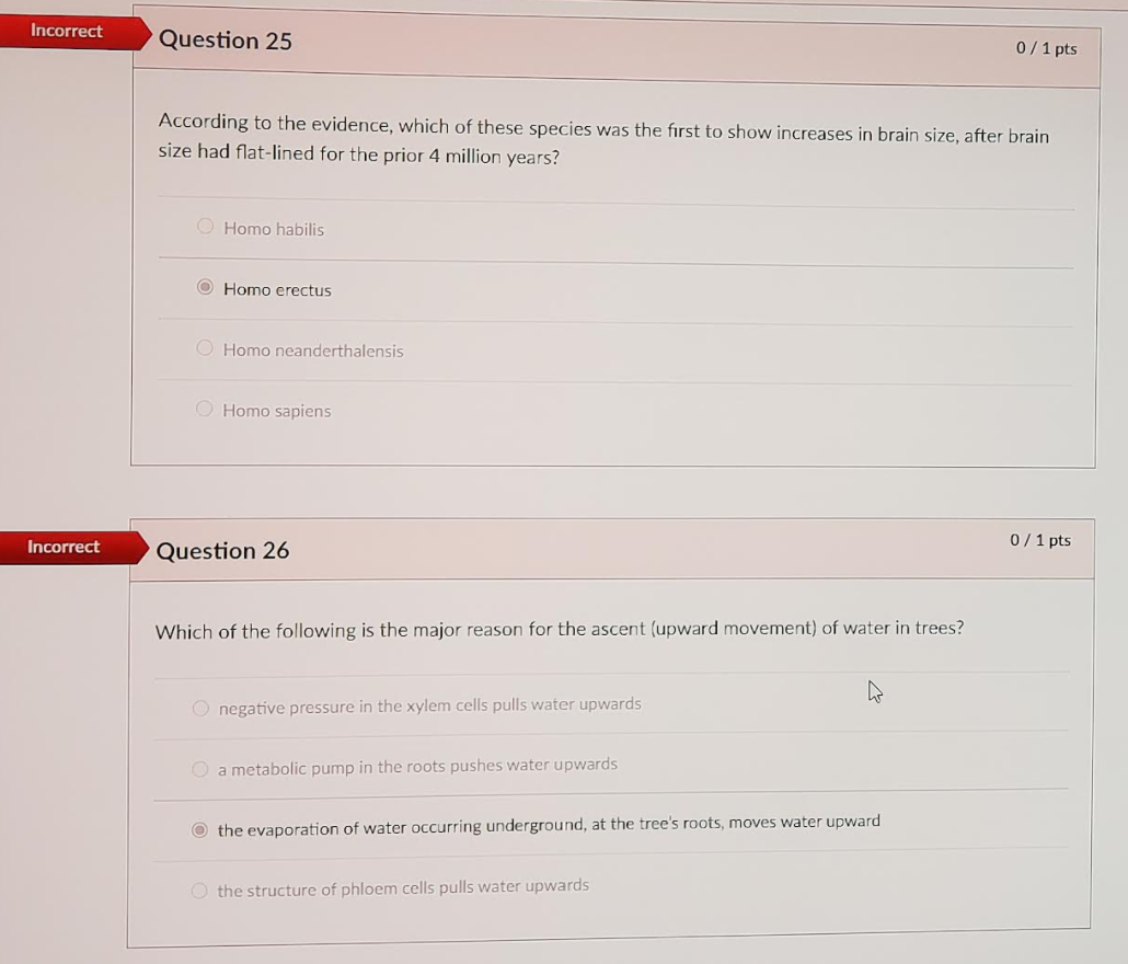 Solved Incorrect Question 15 0/1 pts Why is the amniotic egg | Chegg.com
